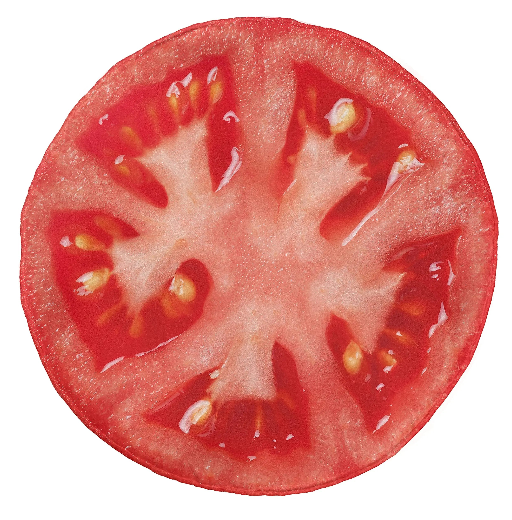 Tomato Slice Blanket – Realistic Round Flannel Throw