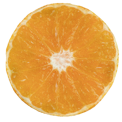 Realistic Orange Slice Blanket – Juicy Soft Round Flannel Throw for Kids & Adults