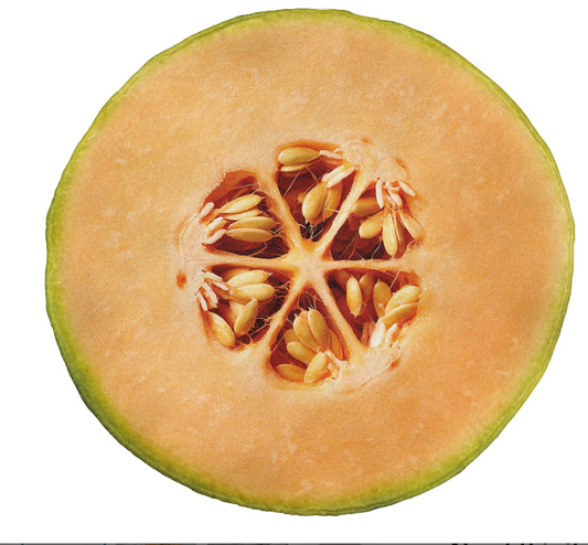 Cozy Cantaloupe Blanket – Juicy Melon-Inspired Round Throw